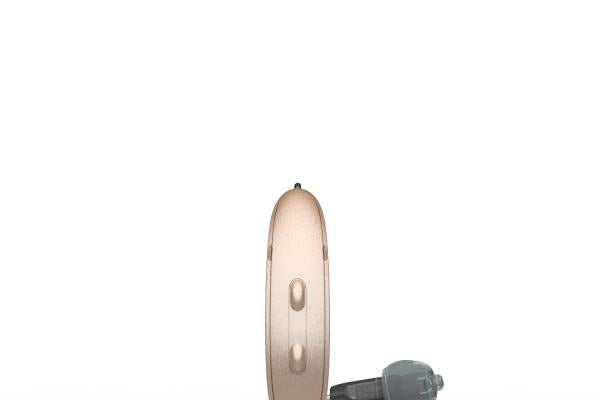 Starkey Omega AI RIC